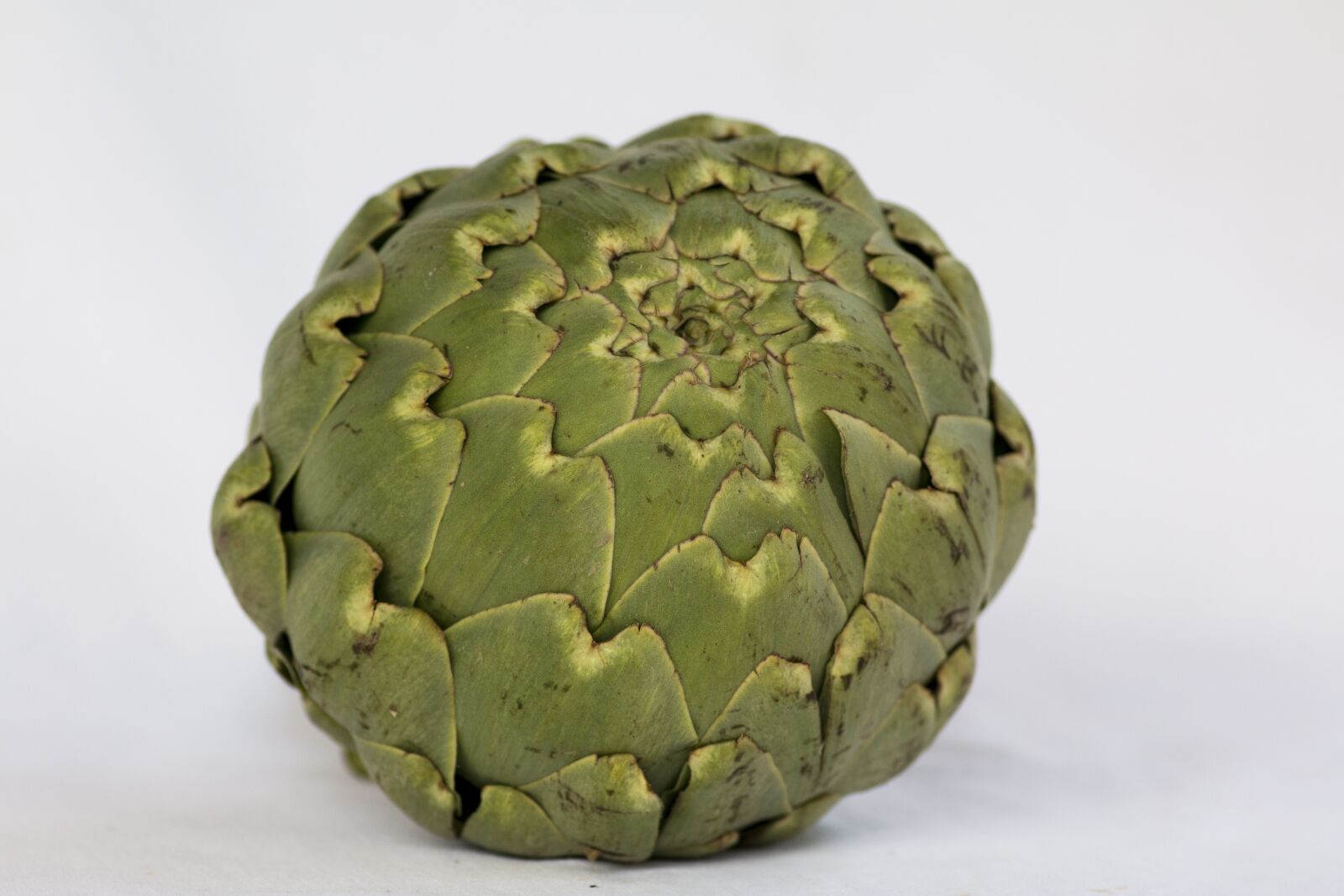 Canon EOS 70D + Tokina AT-X Pro 100mm F2.8 Macro sample photo. Artichoke, vegetable, kitchen photography