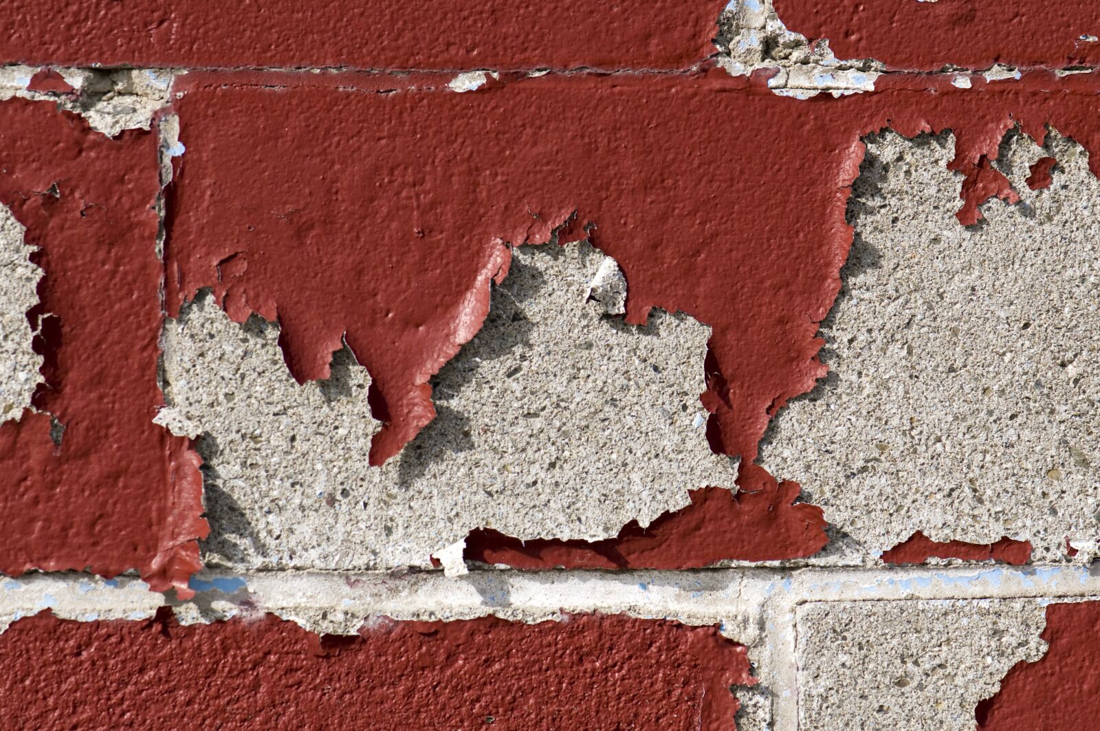 Nikon D90 sample photo. Old, paint, cracked photography