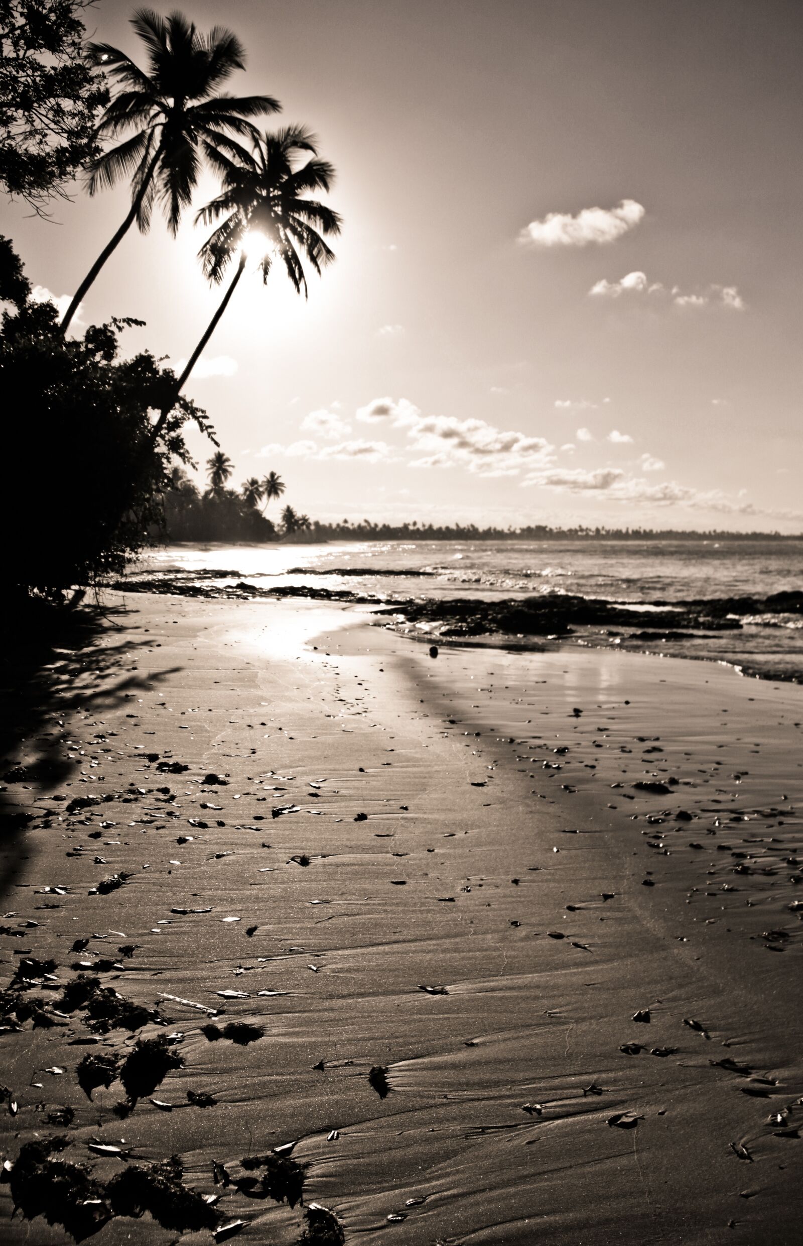 Canon EF-S 18-135mm F3.5-5.6 IS sample photo. Brazilwood, sunset, beach photography