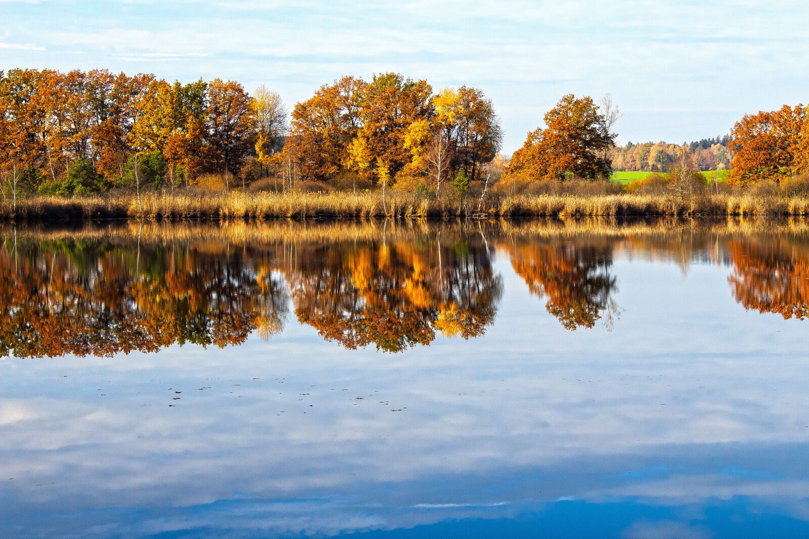 Canon EOS 1300D (EOS Rebel T6 / EOS Kiss X80) sample photo. Lake, autumn, nature photography