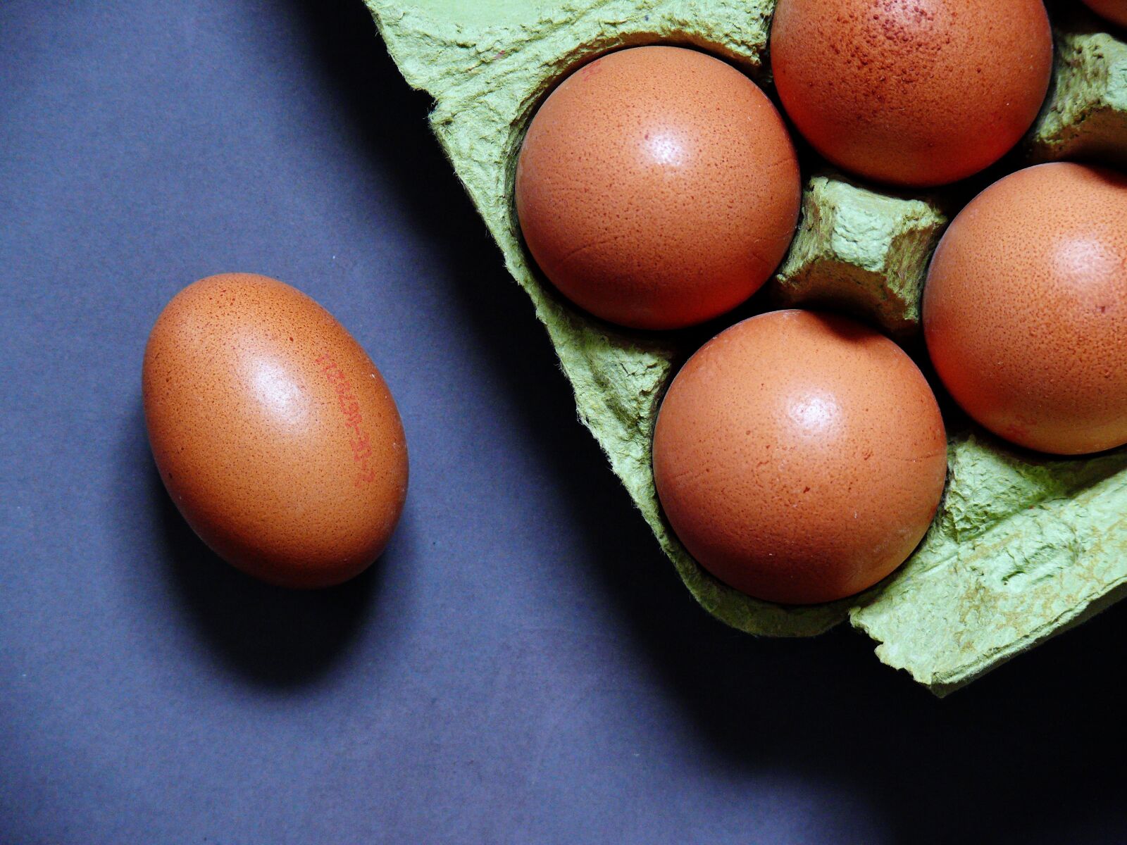 Leica V-LUX 1 sample photo. Egg, egg carton, chicken photography