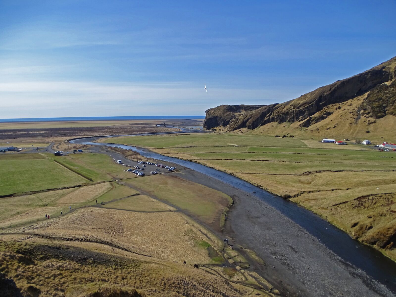 Sony Cyber-shot DSC-HX400V sample photo. Iceland, seagull, view photography