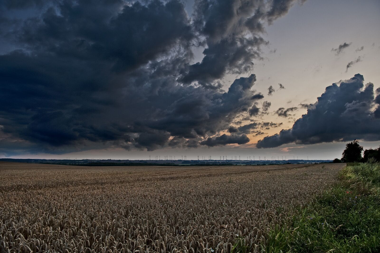 Nikon D700 sample photo. Landscape, mood, dusk photography