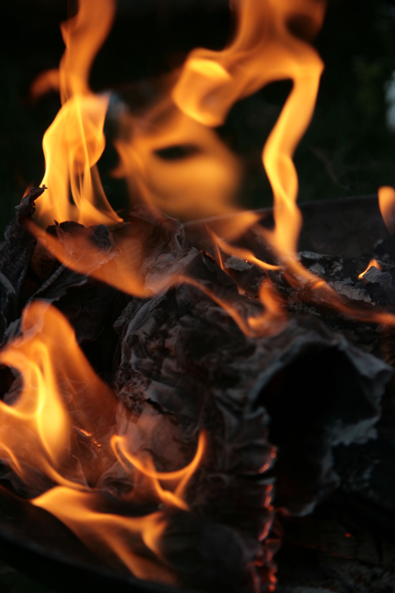 Canon EOS 400D (EOS Digital Rebel XTi / EOS Kiss Digital X) sample photo. Fire, combustion, burn photography