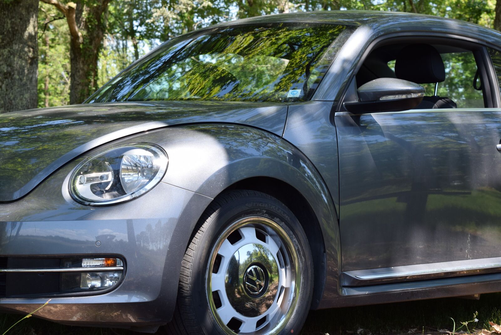 Nikon D3300 sample photo. Volkswagen, ladybug, automobile photography