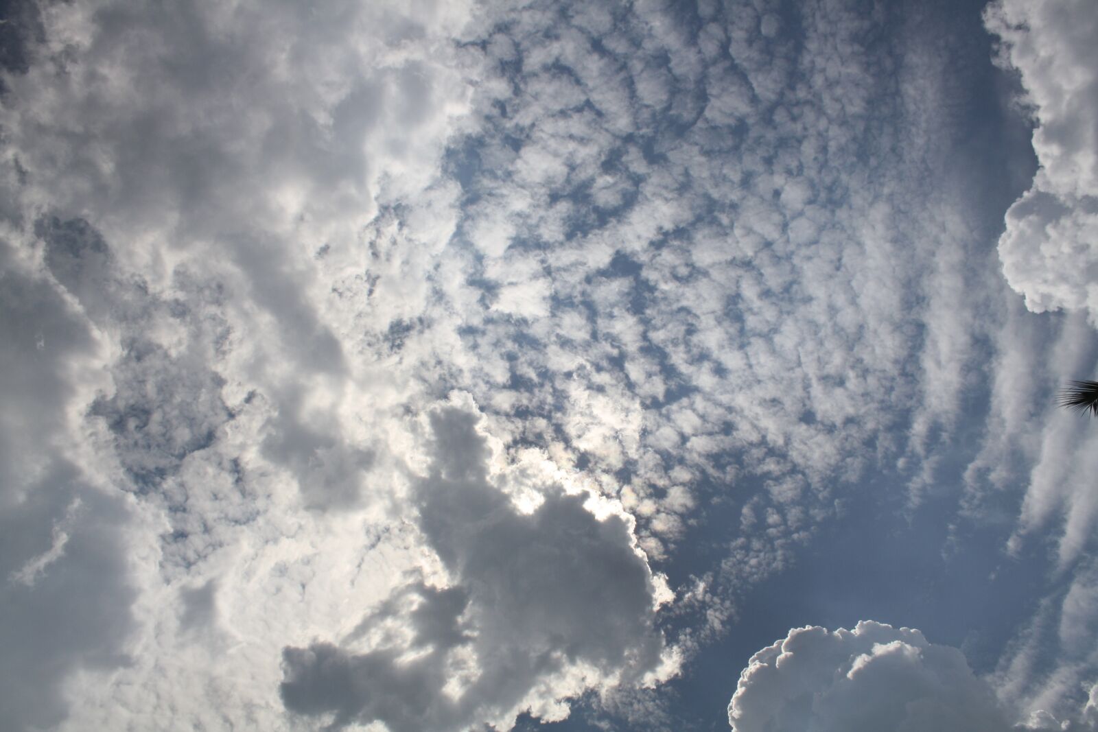 Canon EOS 1000D (EOS Digital Rebel XS / EOS Kiss F) sample photo. Clouds, sky, nature photography