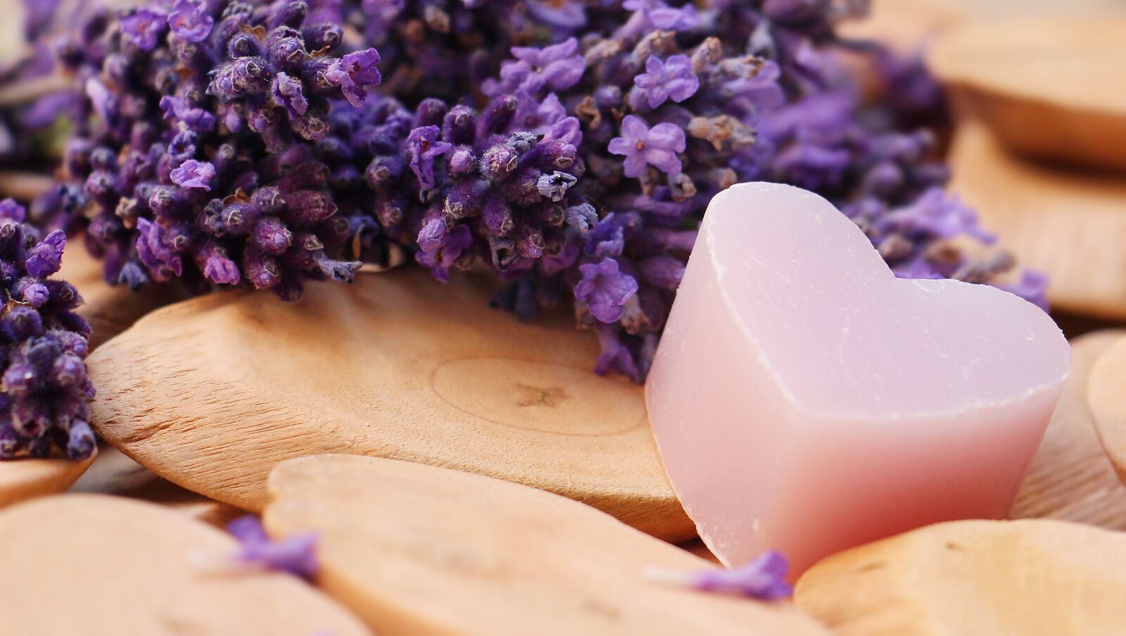 Canon EOS 100D (EOS Rebel SL1 / EOS Kiss X7) sample photo. Lavender, heart, wood photography