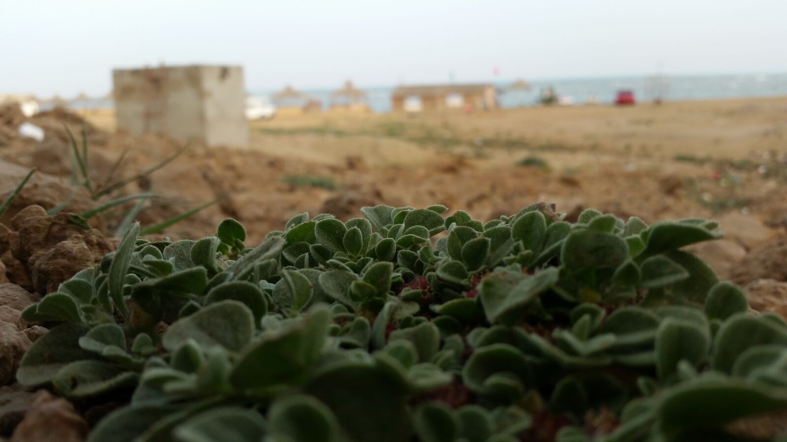 Samsung Galaxy S5 sample photo