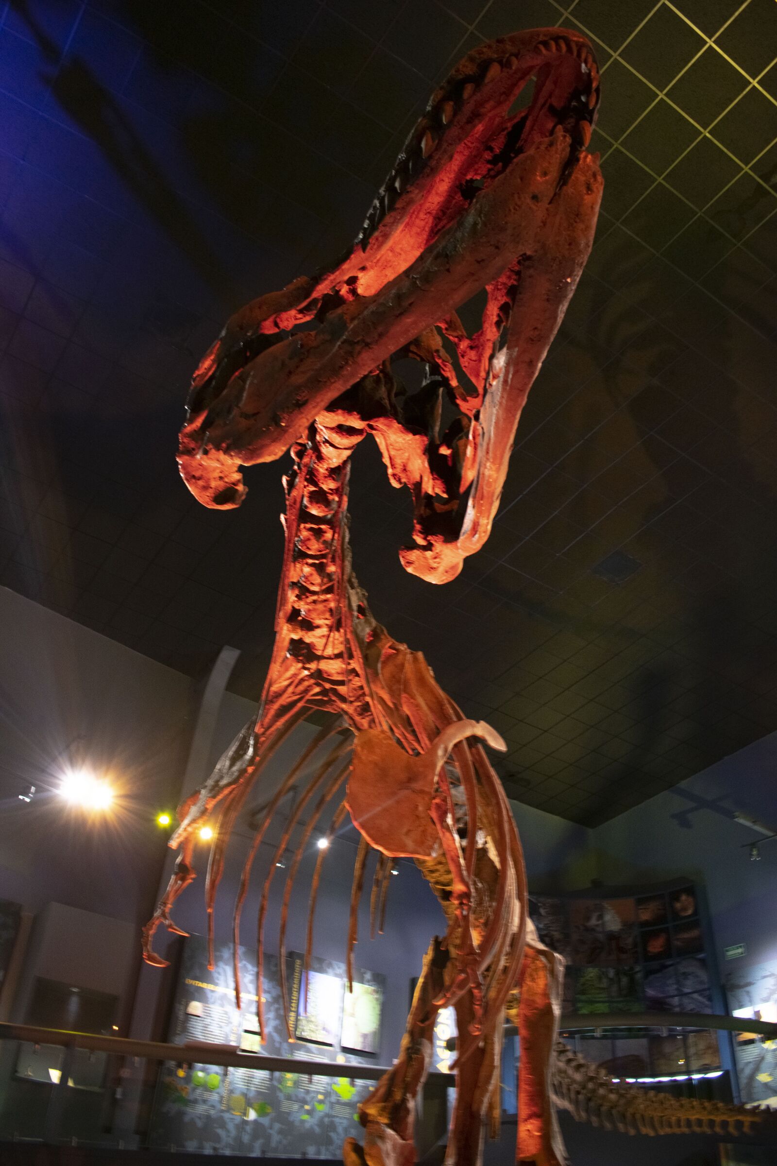 Nikon D3400 sample photo. Dinosaur, museum, desert museum photography