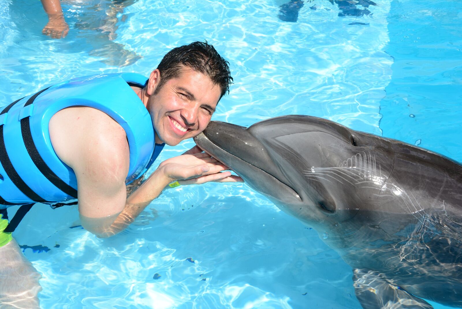 Nikon D5200 sample photo. Dolphins, marine life, fish photography