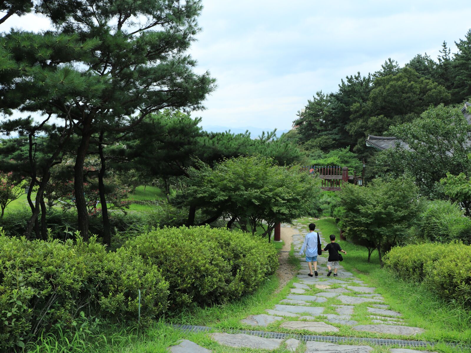Canon EOS 800D (EOS Rebel T7i / EOS Kiss X9i) sample photo. Tree, trees, grass photography