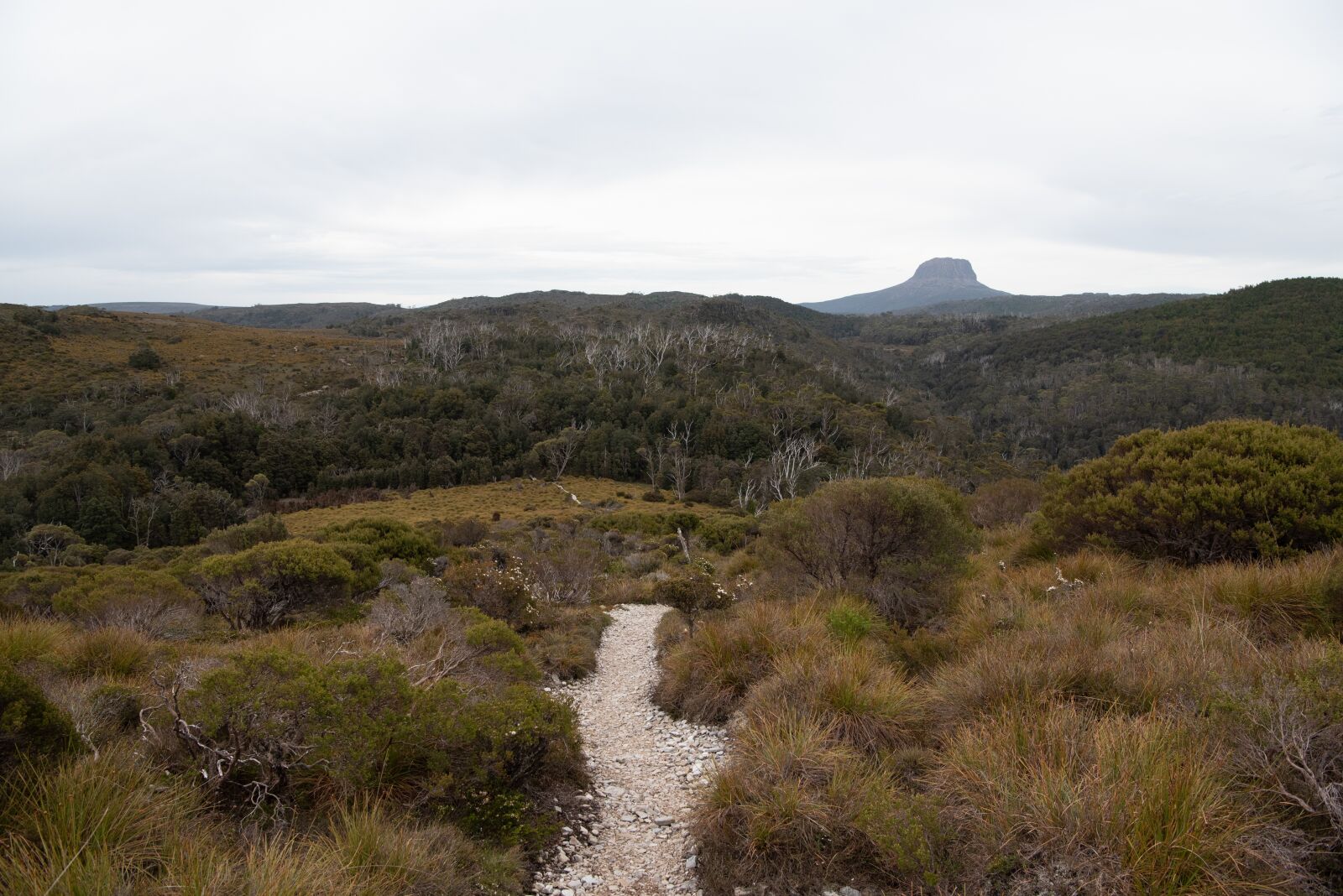 Nikon D750 sample photo. Barn bluff, overland track photography