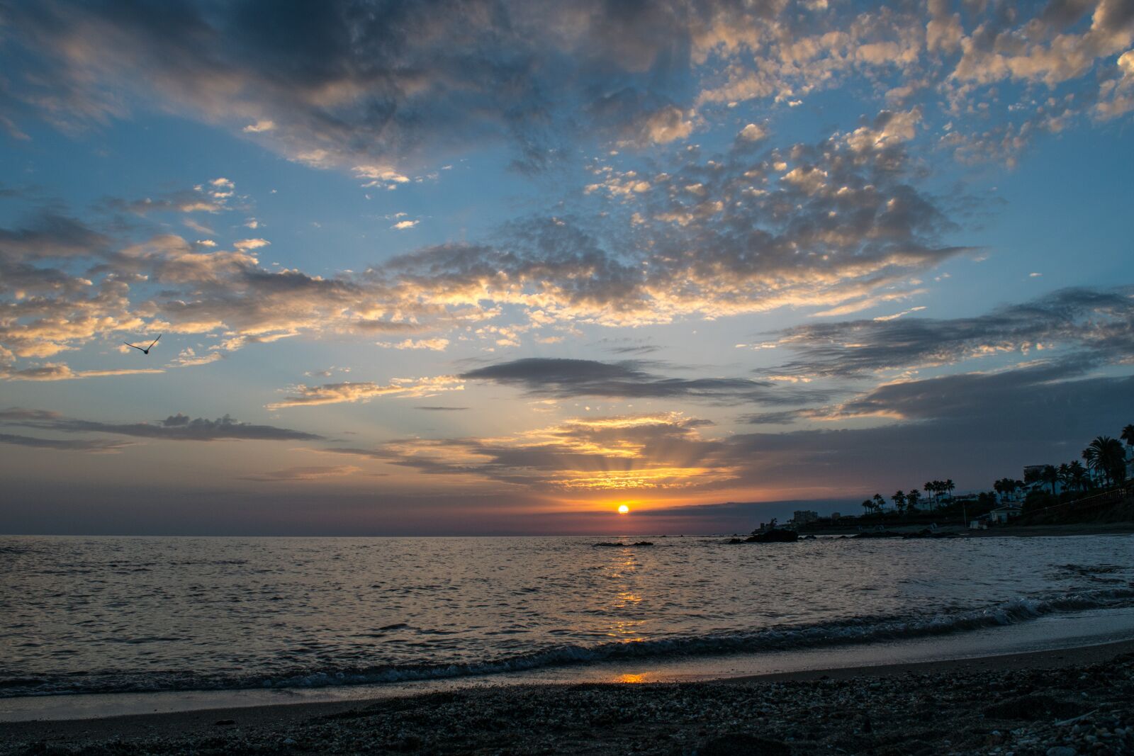 Nikon D5500 sample photo. Sunset, sky, sun photography