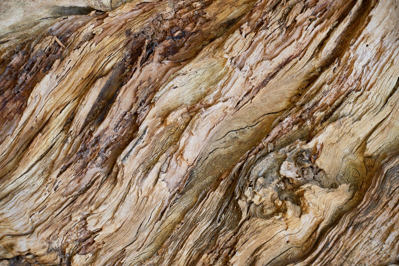 Sony a7R II sample photo. Wood-fibre boards, texture, wood photography