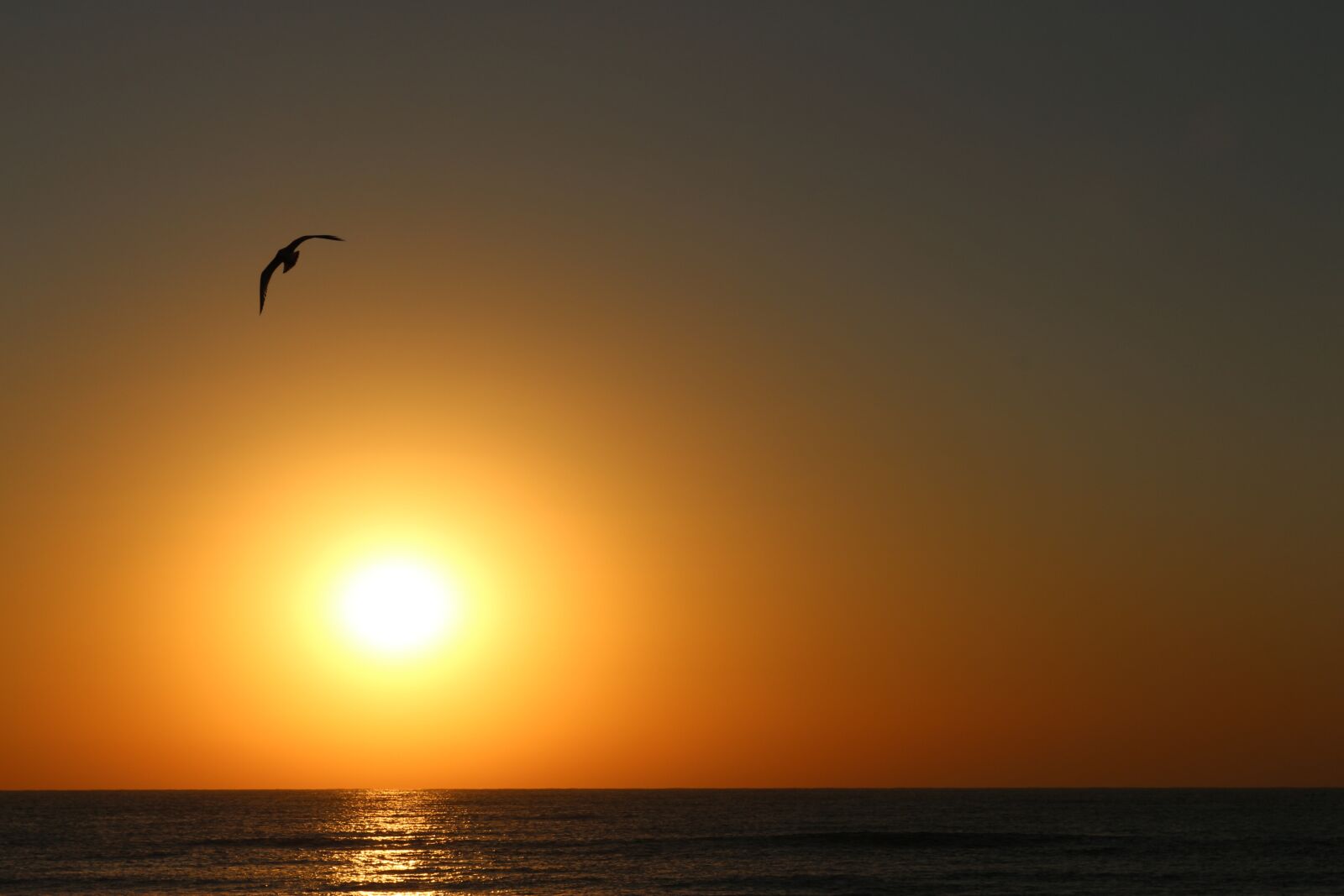 Canon EOS 700D (EOS Rebel T5i / EOS Kiss X7i) sample photo. Sunrise, water, sun photography