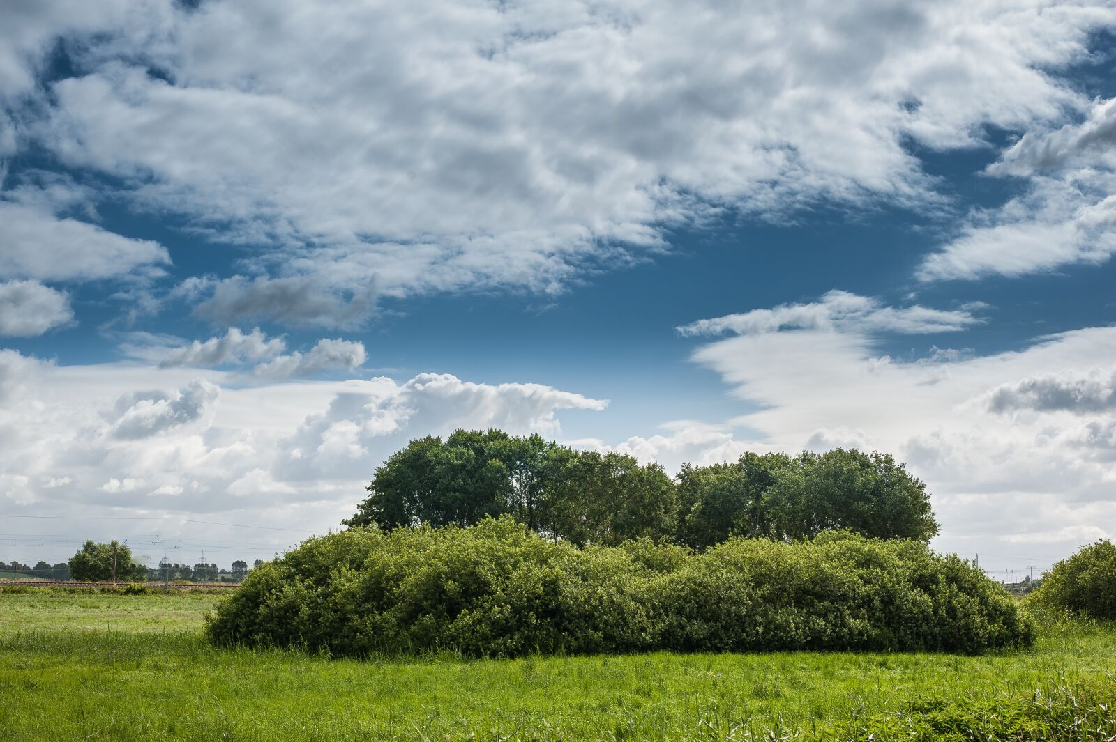 Nikon D700 sample photo. Meadow, bush, bäüme photography