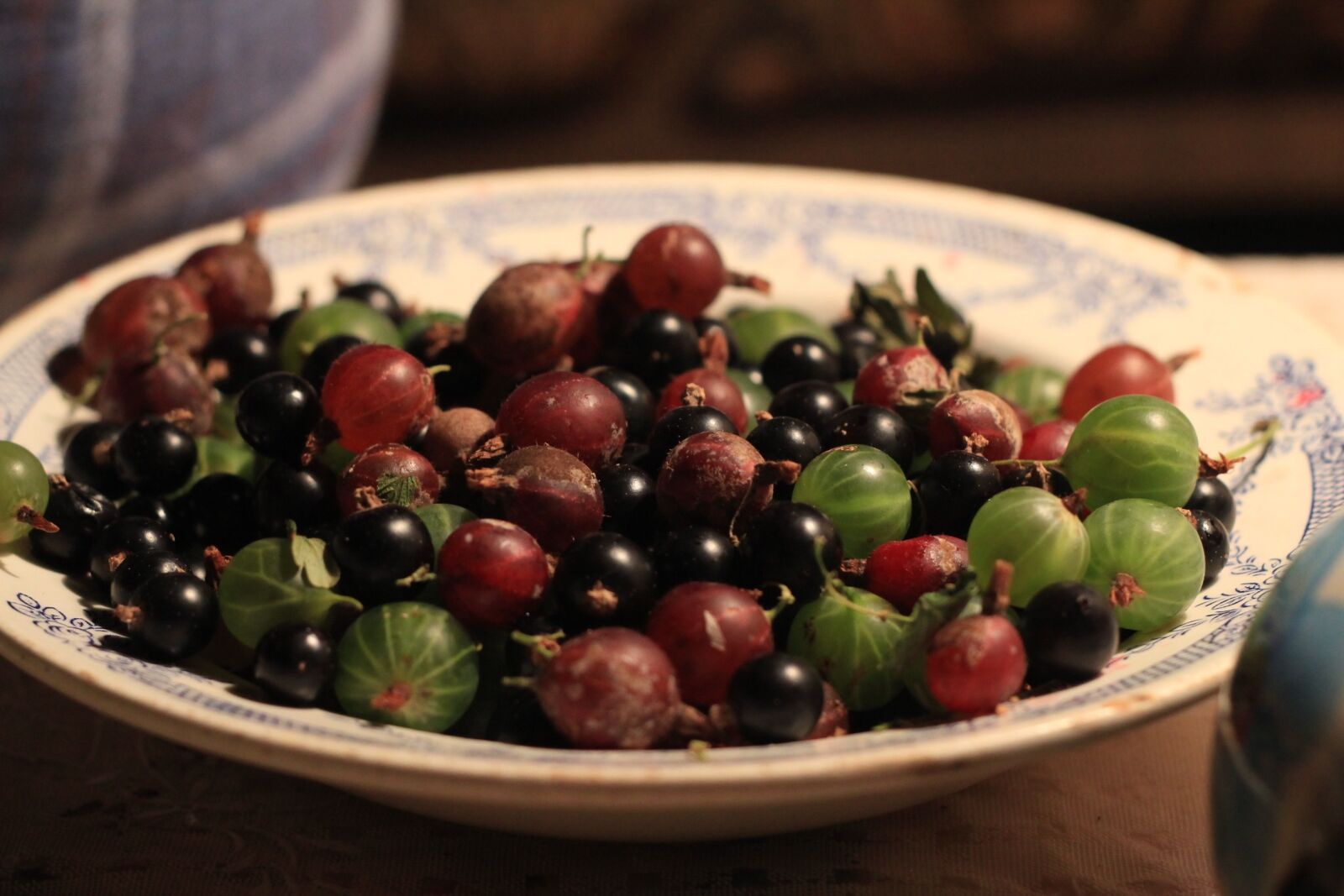 Canon EOS 550D (EOS Rebel T2i / EOS Kiss X4) sample photo. Gooseberry, plate, berry photography