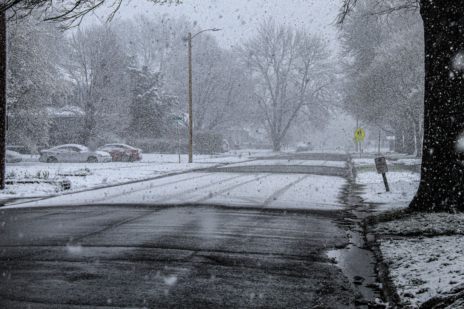 Canon EOS 4000D (EOS Rebel T100 / EOS 3000D) sample photo. Spring snow, snow, spring photography