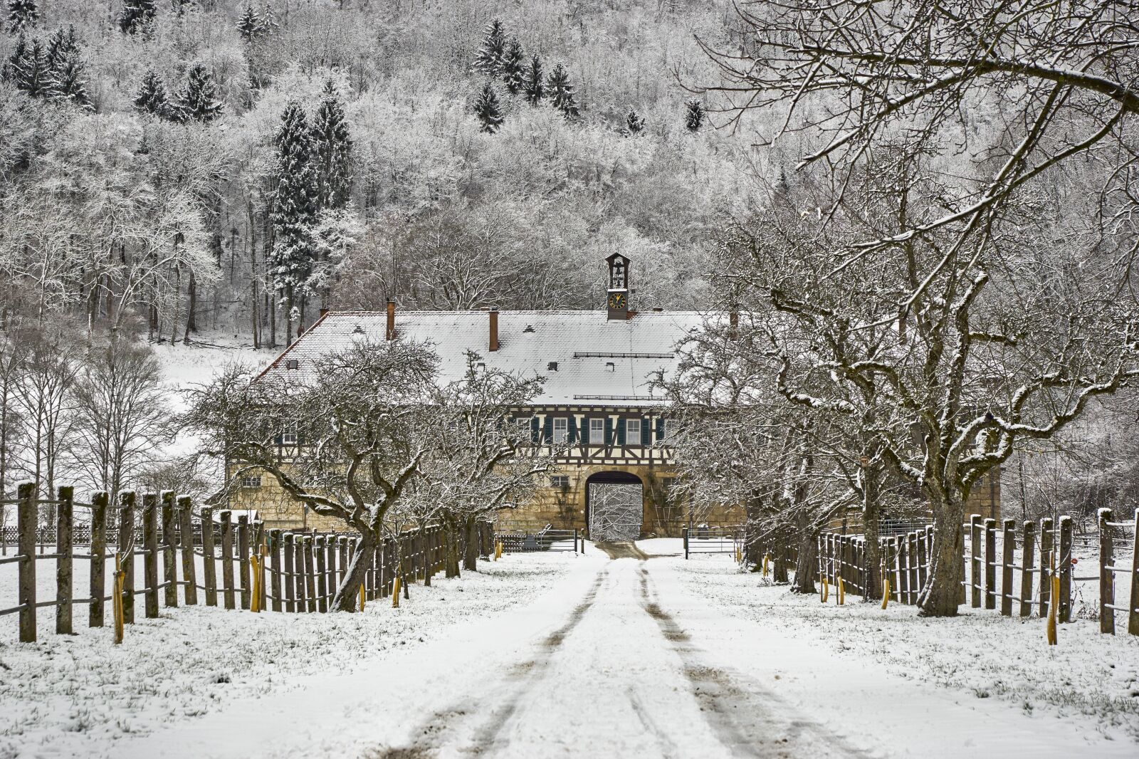 Sony ILCA-77M2 sample photo. Winter, snow, cold photography