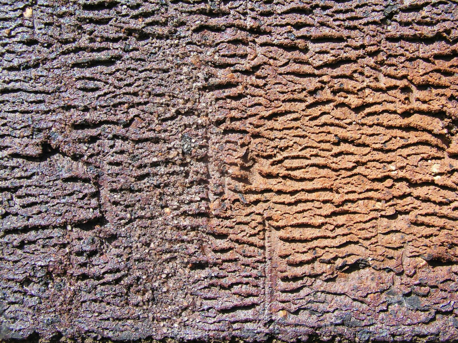 Olympus C5050Z sample photo. Texture, stone, brick photography