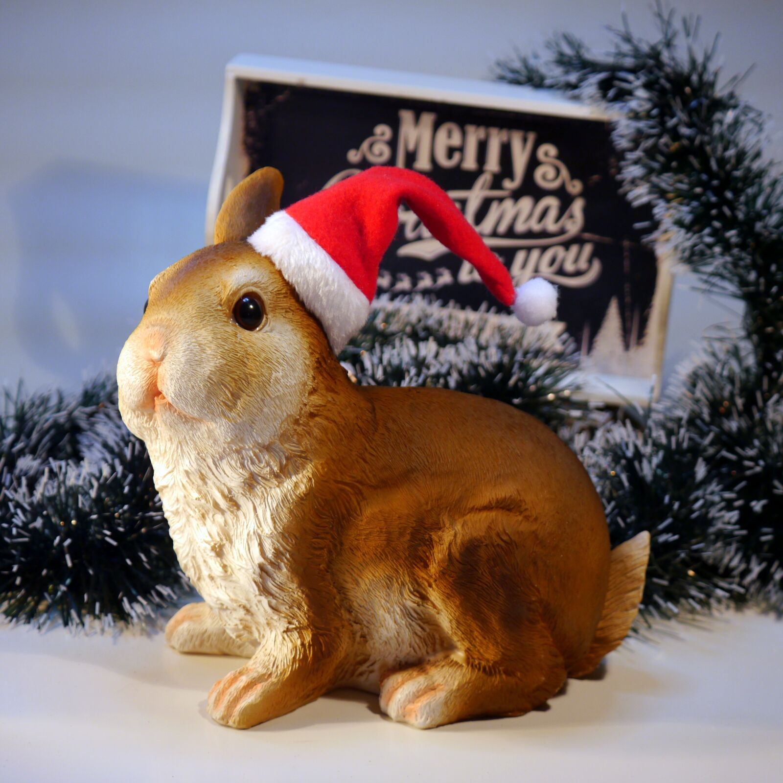 Panasonic Lumix DMC-G5 sample photo. Nicholas, christmas, hare photography
