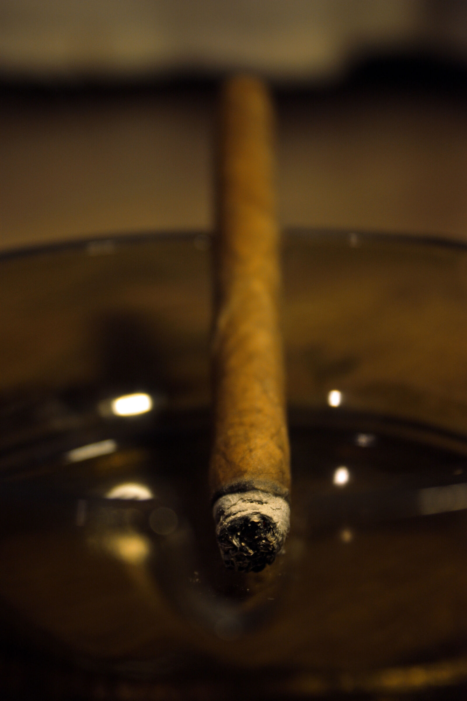 Canon EOS 450D (EOS Rebel XSi / EOS Kiss X2) sample photo. Tobacco, cifarette photography