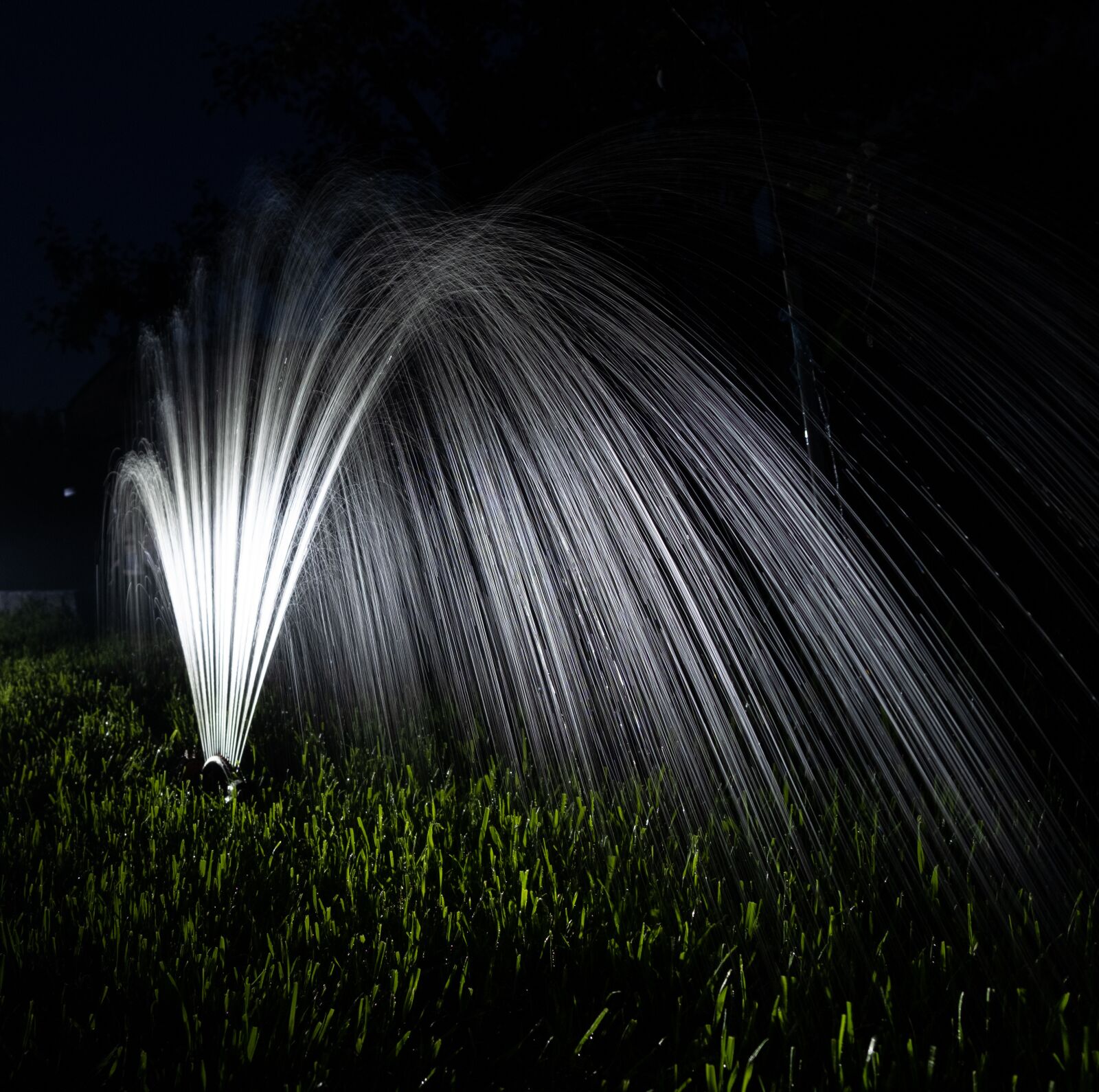 Fujifilm X-T3 sample photo. Water, watering, lawn photography