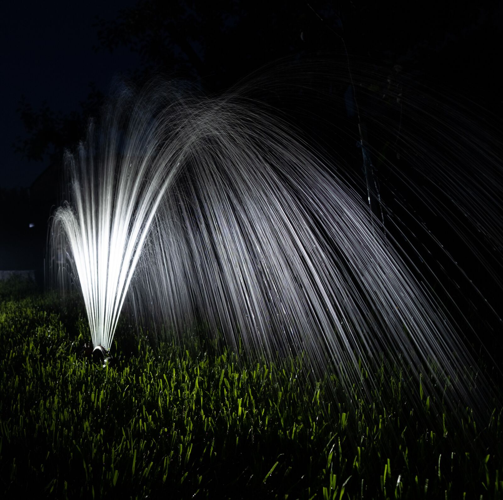 Fujifilm X-T3 + Fujifilm XF 18-55mm F2.8-4 R LM OIS sample photo. Water, watering, lawn photography