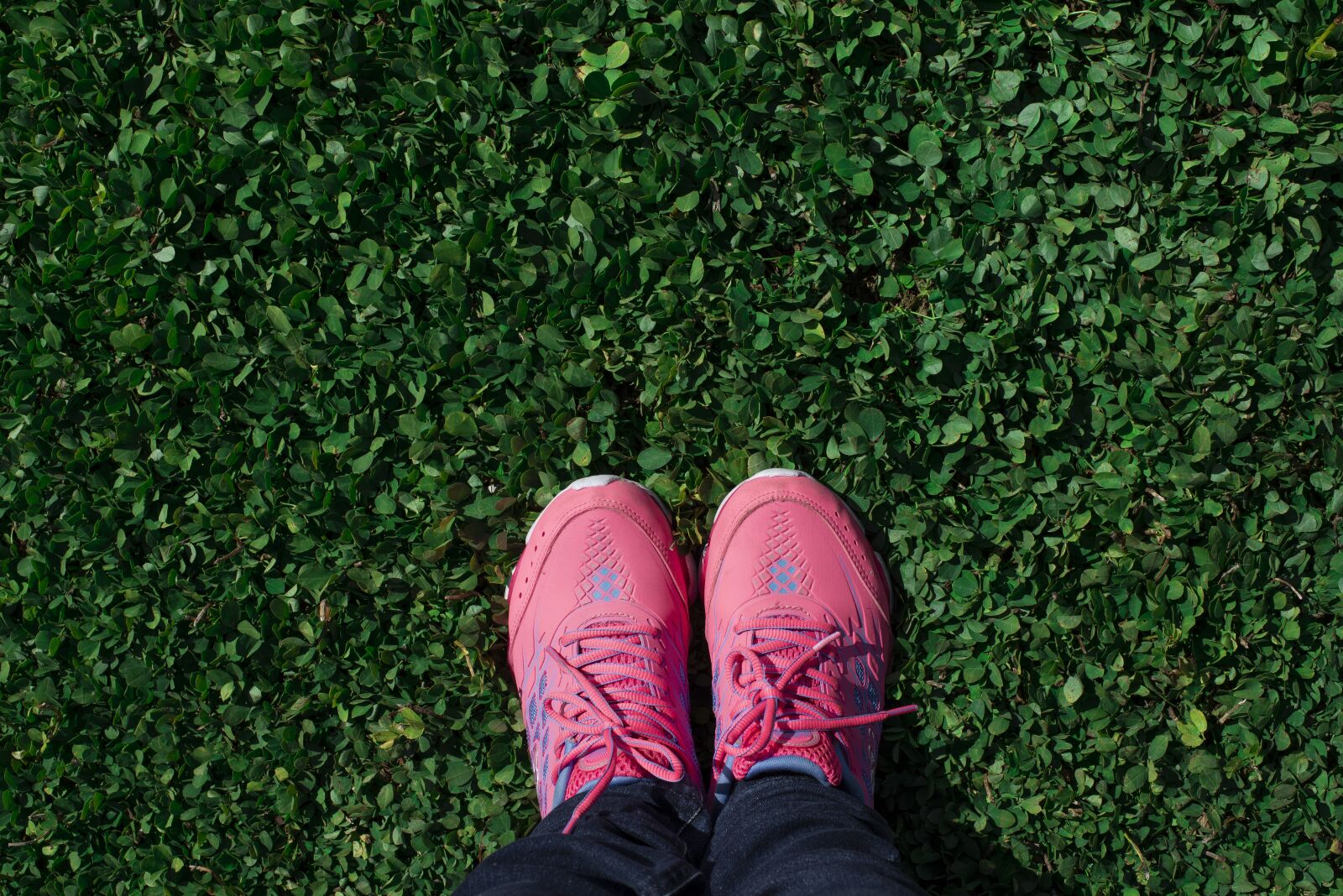 Nikon D610 sample photo. Feet, grass, legs photography