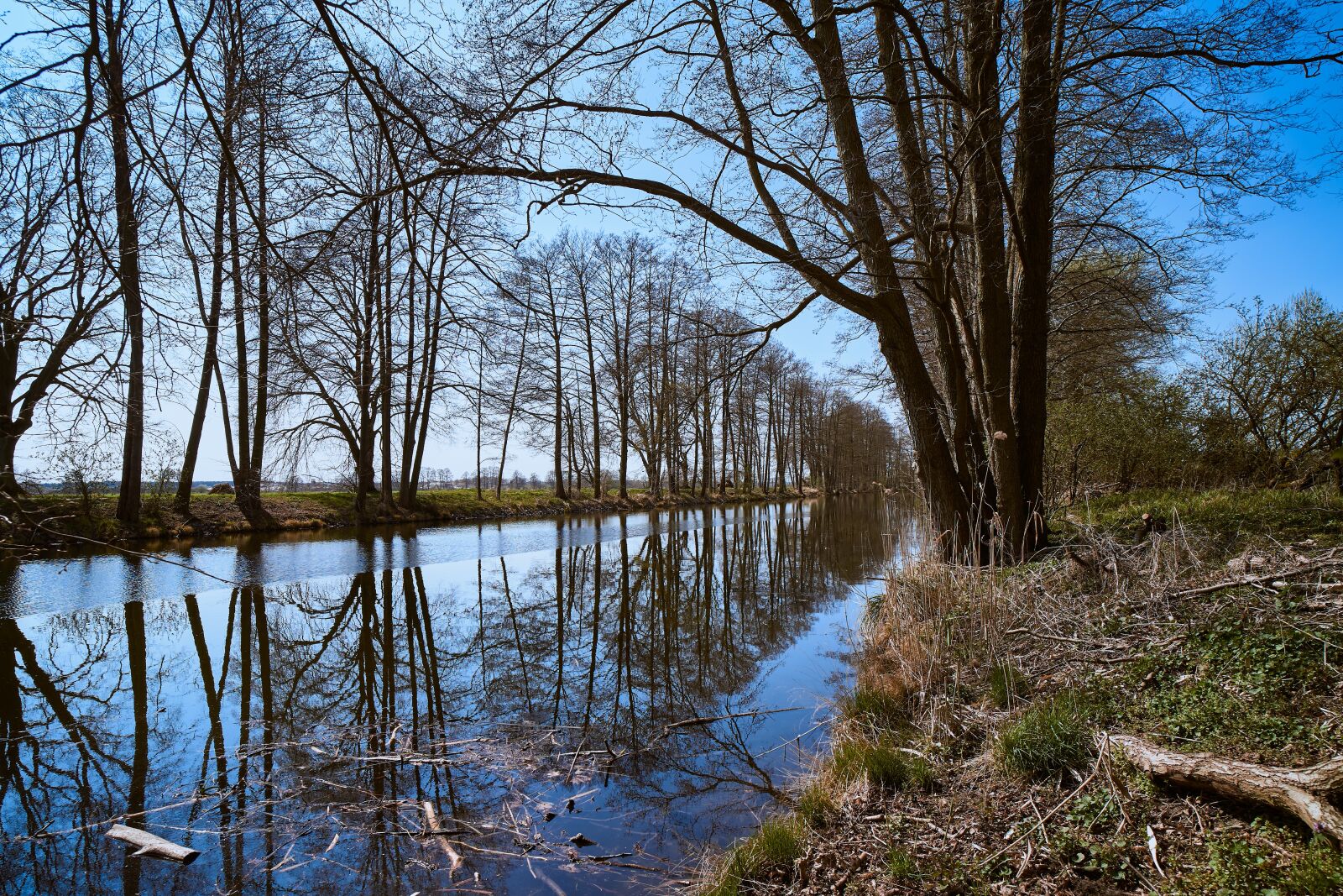 Sony a7 III sample photo. Water, waterway, trees photography