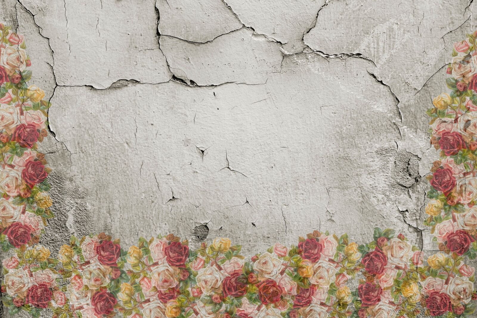 Canon EOS 700D (EOS Rebel T5i / EOS Kiss X7i) sample photo. Roses, wall, cracks photography