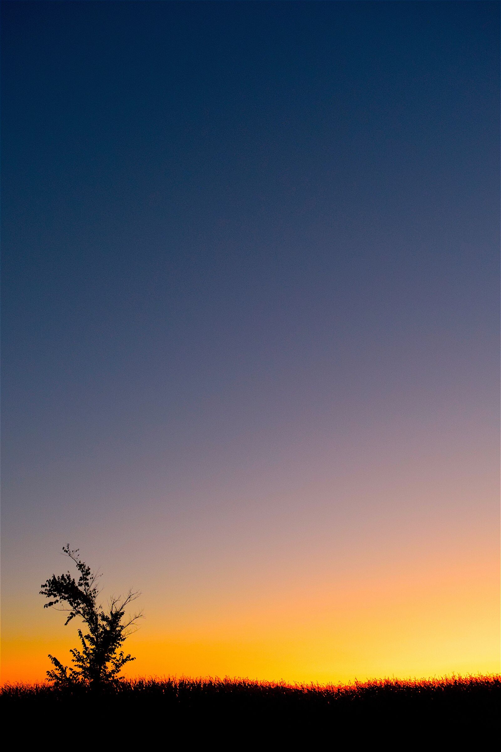 Nikon D3300 sample photo. Sunset, horizon, colorful photography