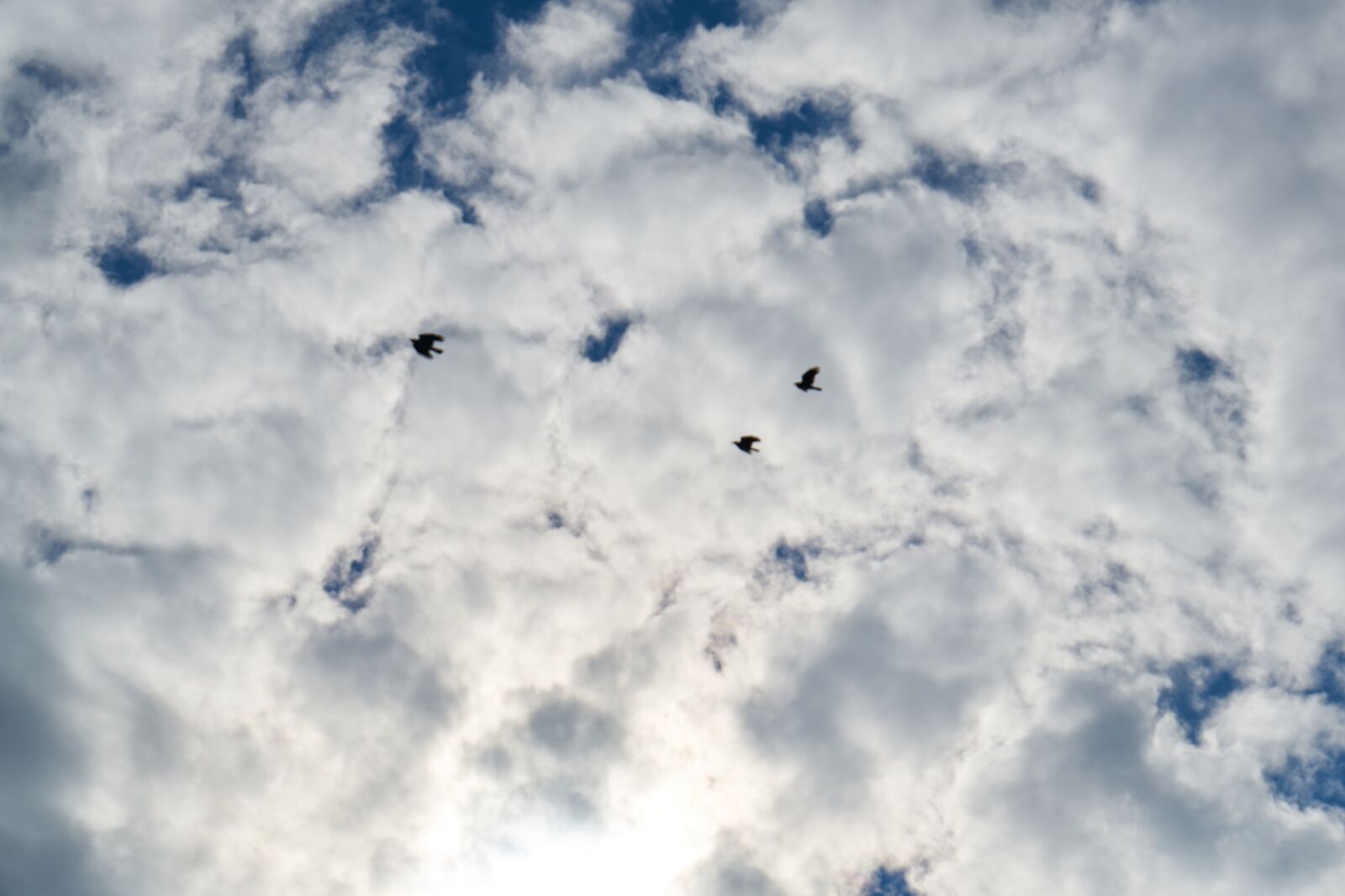 Sony a7R II sample photo. Cloud, clouds, white photography