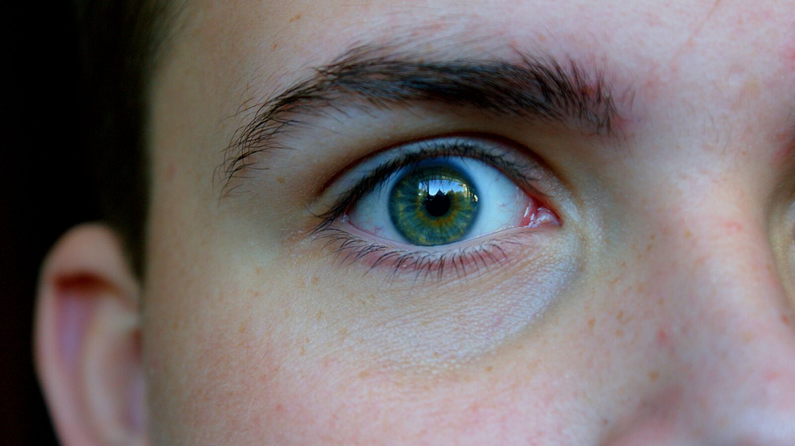 Sony Alpha DSLR-A350 sample photo. Eye, green, iris photography