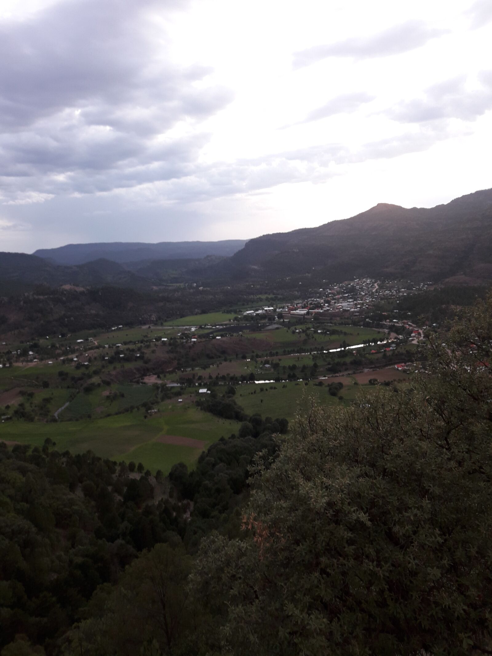 Samsung Galaxy J7 Neo sample photo. Paisaje, árboles, naturaleza photography