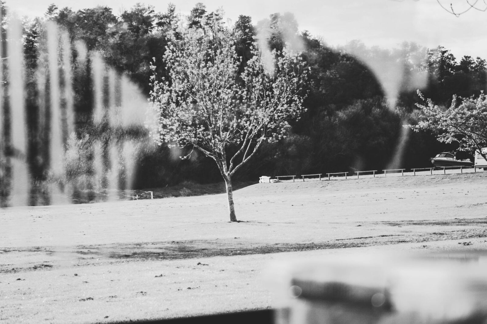 Canon EOS 20D sample photo. Display, window, garden, mist photography