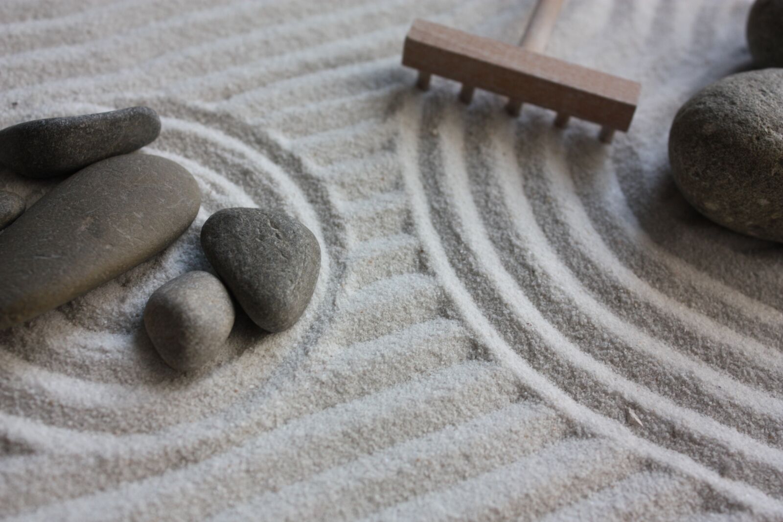 Canon EOS 450D (EOS Rebel XSi / EOS Kiss X2) sample photo. Garden, zen, sand photography