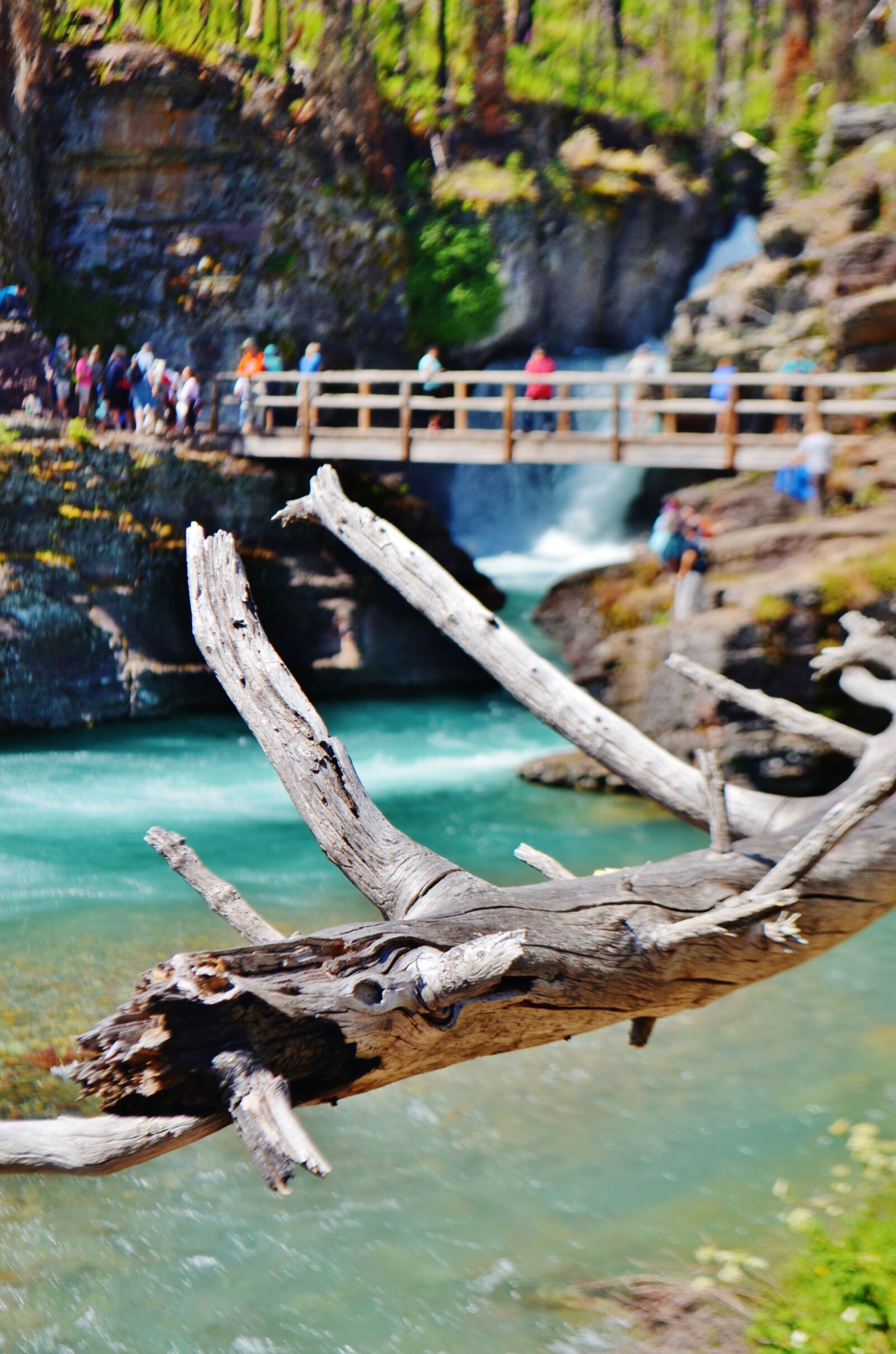 Nikon D5100 sample photo. Tree, lake, landscape photography