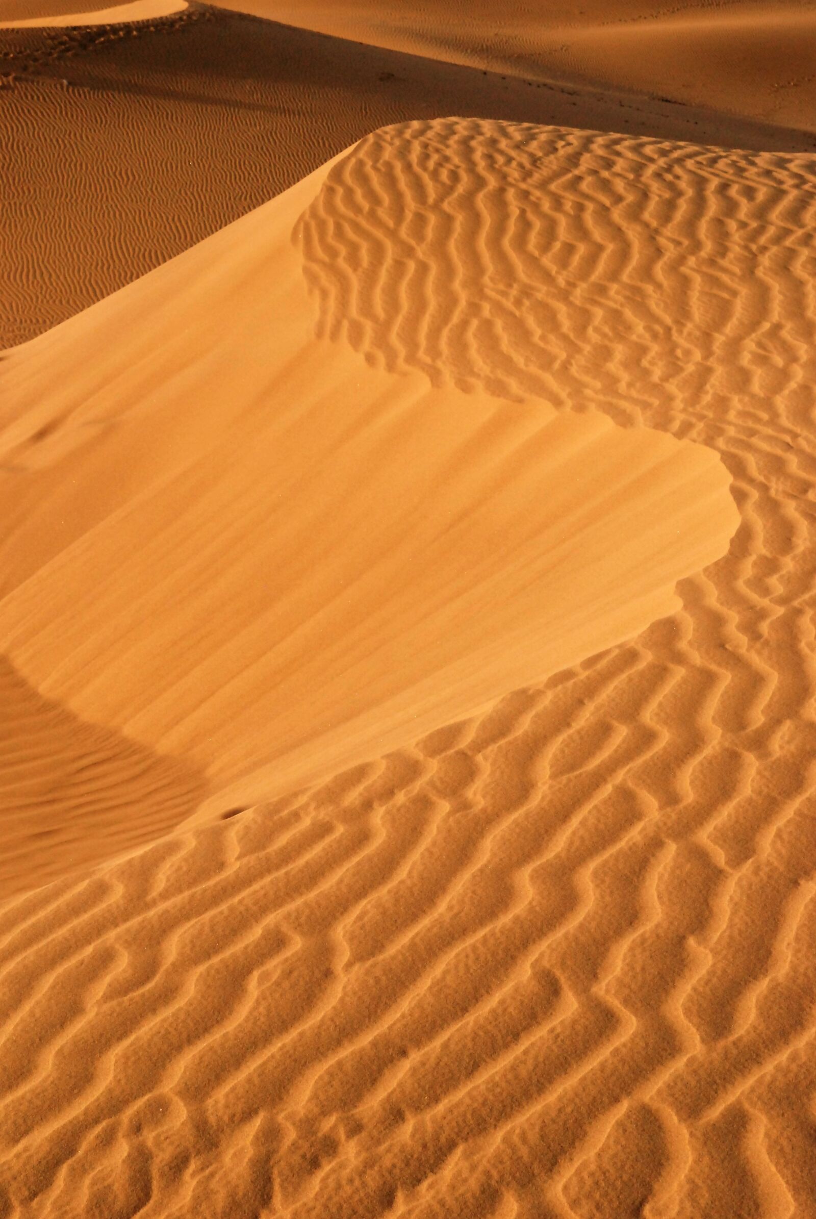 Nikon D80 sample photo. Golden sand, sand dunes photography