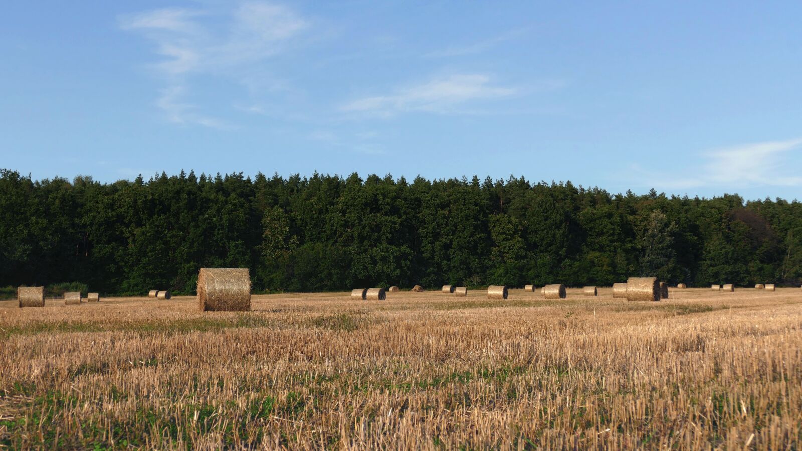 Panasonic Lumix DMC-FZ1000 sample photo. Straw, straw bales, balotować photography
