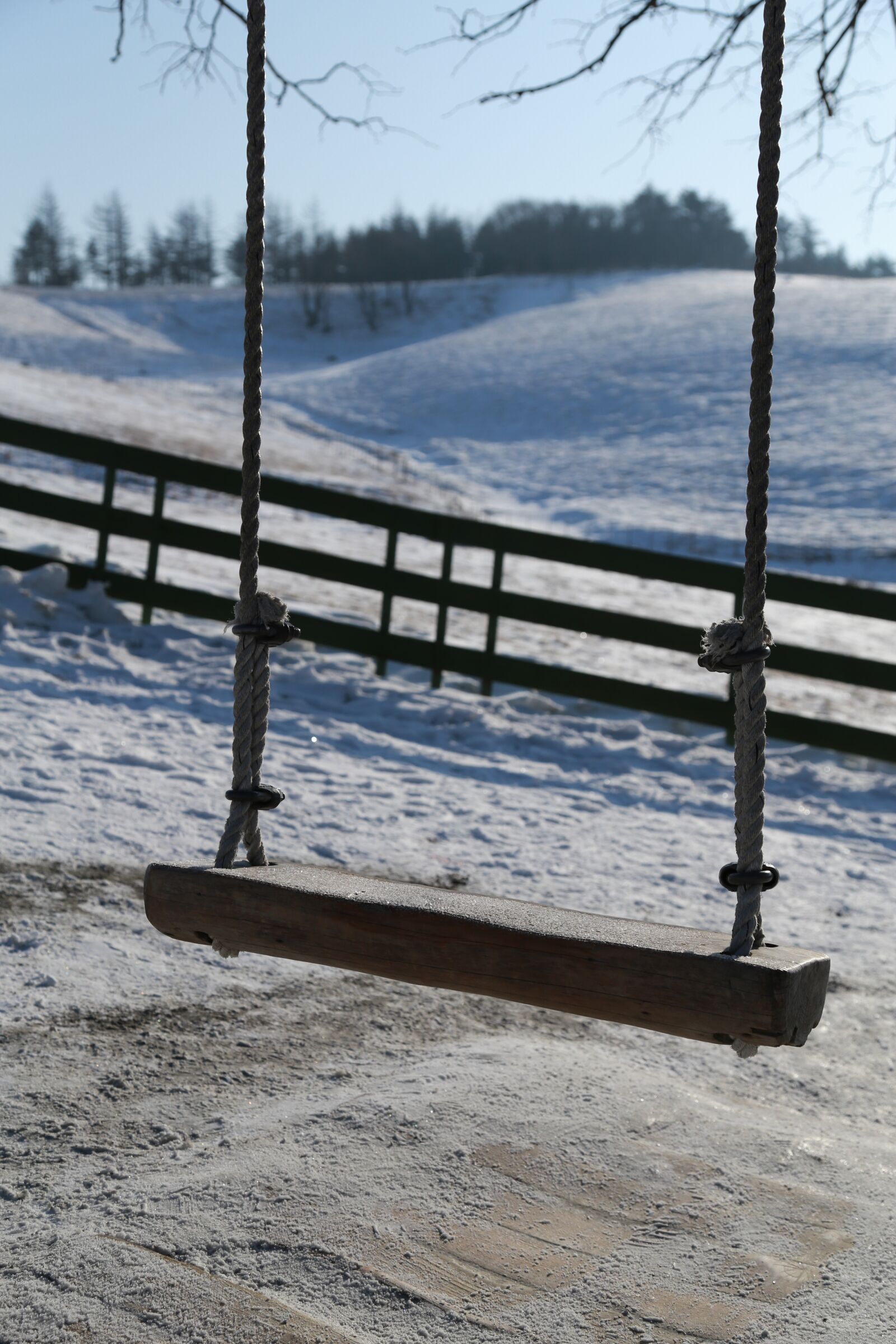 Canon EOS 6D + Canon EF 24-105mm F4L IS USM sample photo. Wood, swing, nature photography
