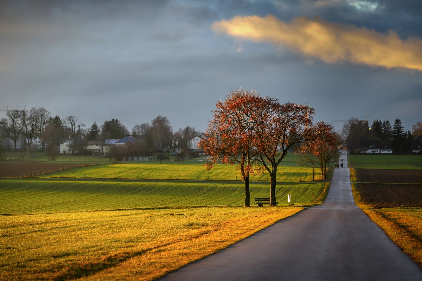 Panasonic Lumix DMC-GX8 sample photo. Away, bank, abendstimmung photography