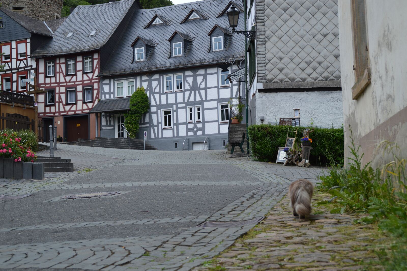 Nikon D3200 sample photo. Village, old houses, truss photography