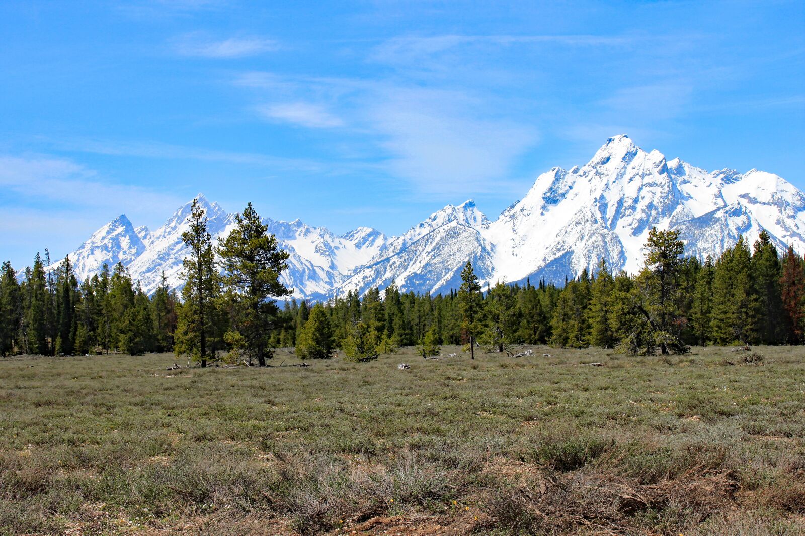 Canon EOS 500D (EOS Rebel T1i / EOS Kiss X3) sample photo. Grand teton, nature, mountain photography