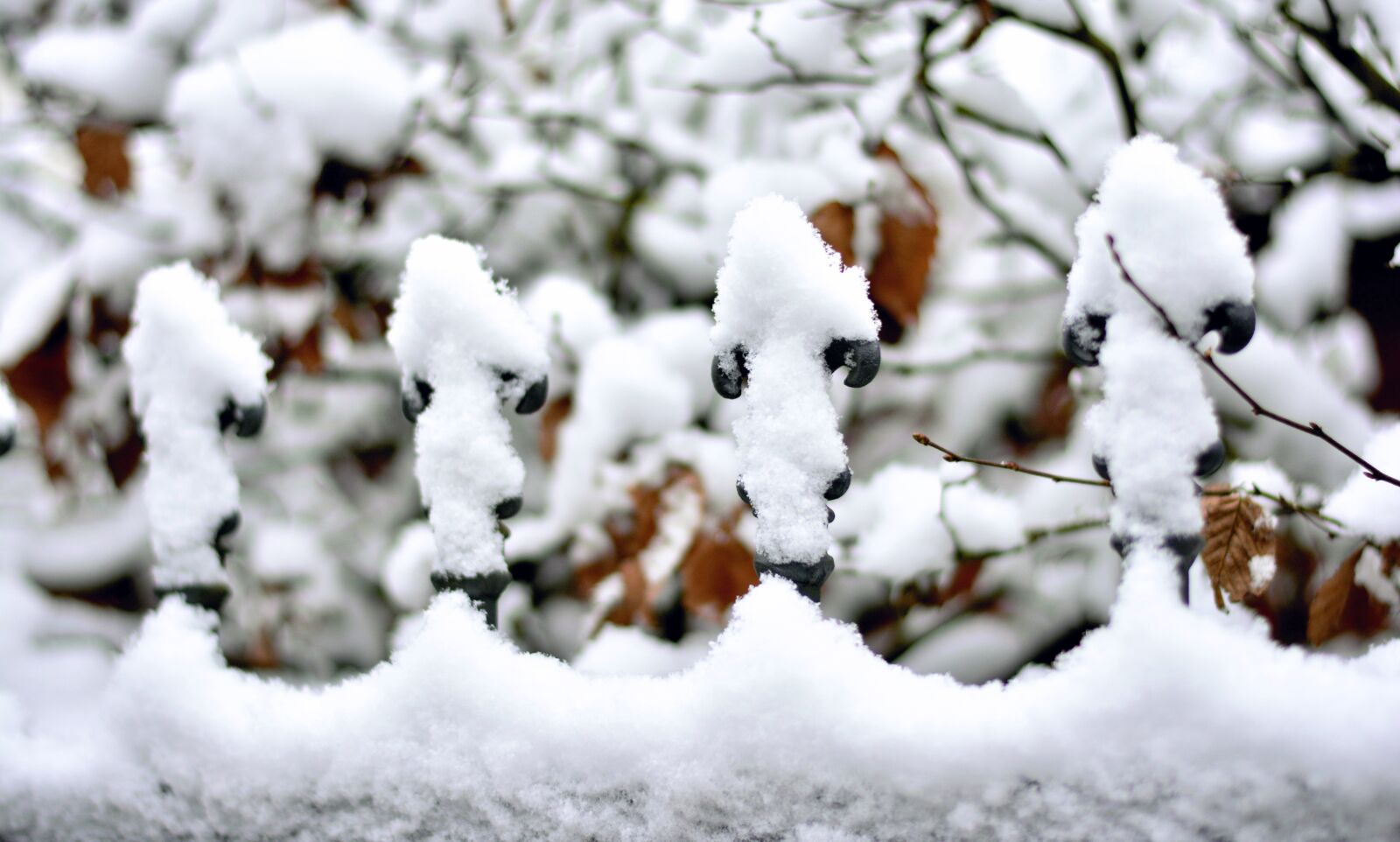 Nikon D5200 sample photo. Snow, snowy, fence photography