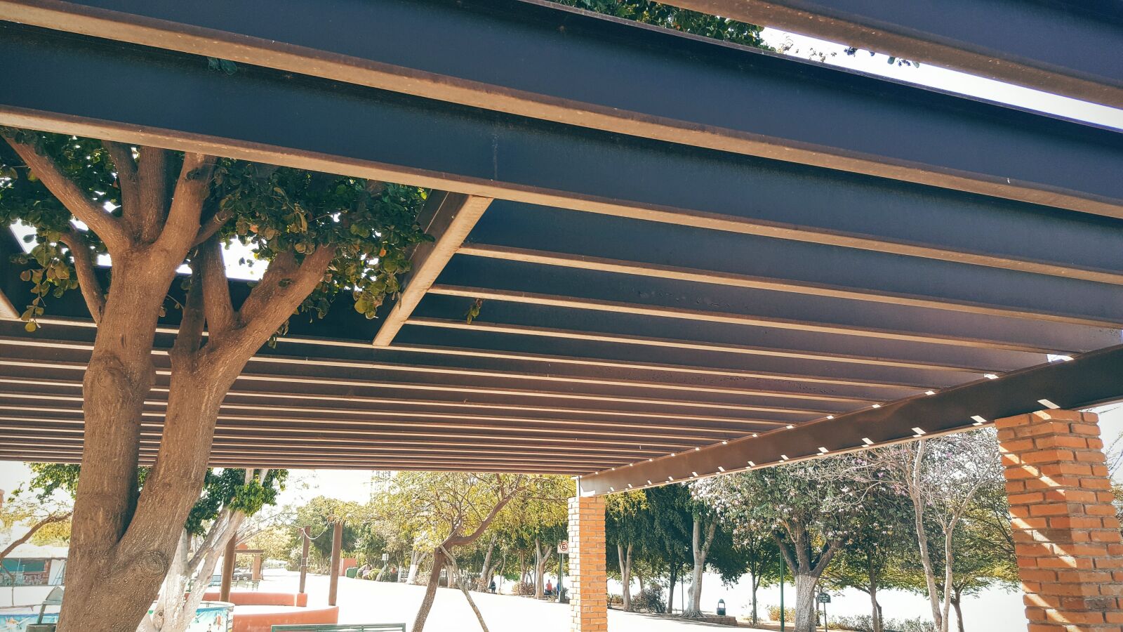 Samsung Galaxy S6 sample photo