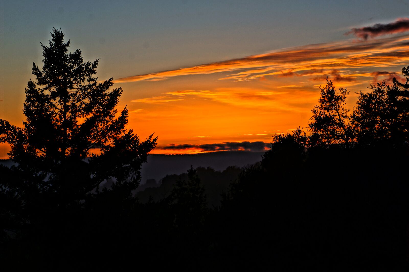 Sony Alpha NEX-5N sample photo. Sunset, light, afterglow photography