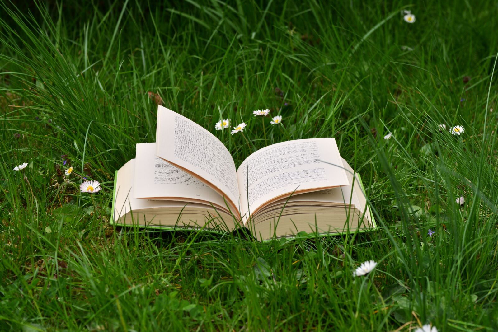 Nikon D5200 sample photo. Book, meadow, read relax photography