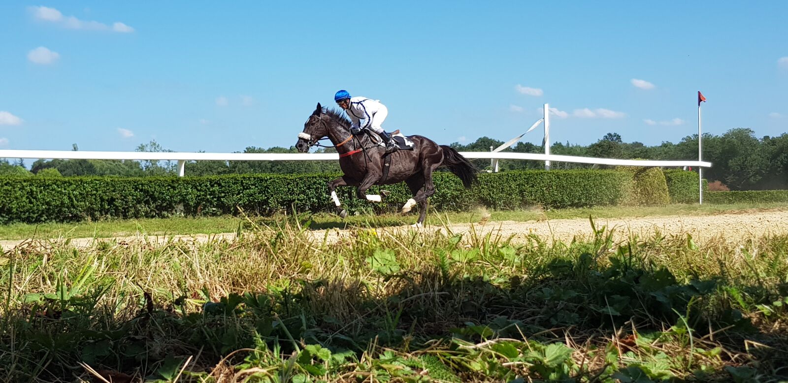 Samsung Galaxy S8 sample photo. Horse racing, horses, racecourse photography