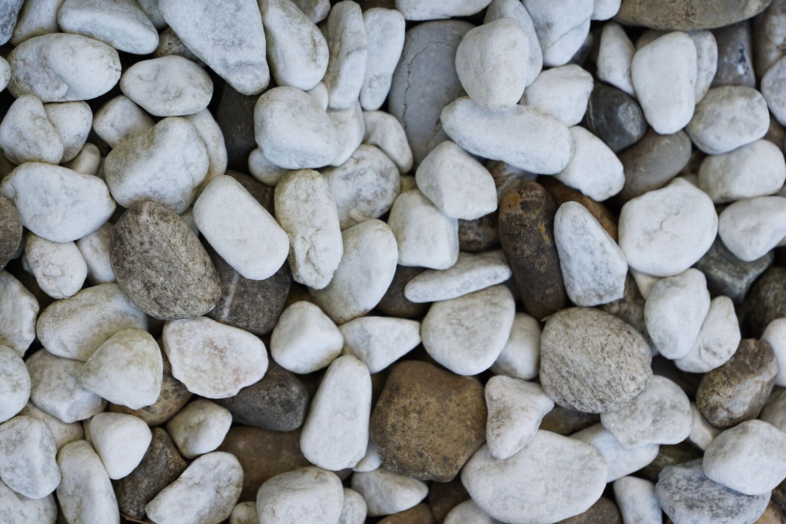 Sony ILCA-77M2 sample photo. Stones, white, grey photography